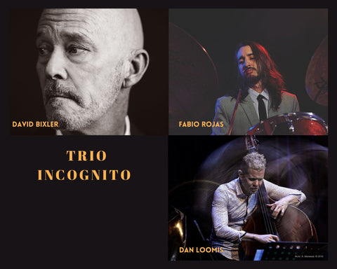 DAVID BIXLER TRIO INCOGNITO THURSDAY MARCH 20